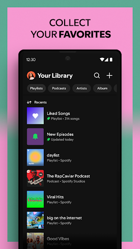 Spotify Screenshot image