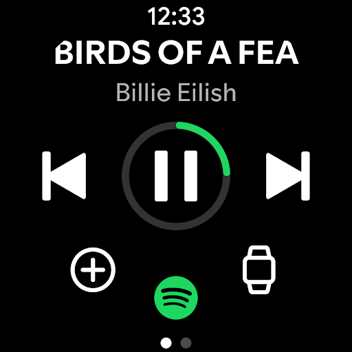 Spotify Screenshot image