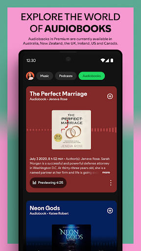Spotify Screenshot image
