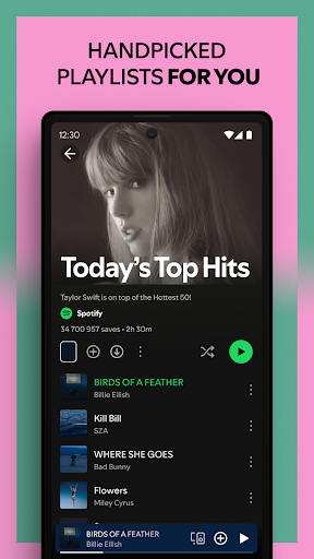 Spotify Screenshot image