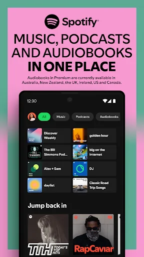Spotify Screenshot image