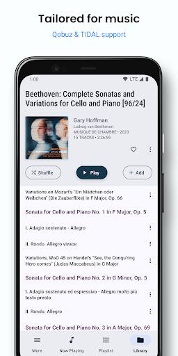 BubbleUPnP for DLNA Screenshot image