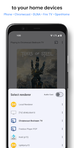 BubbleUPnP for DLNA Screenshot image