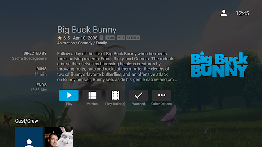 Jellyfin for Android TV Screenshot image