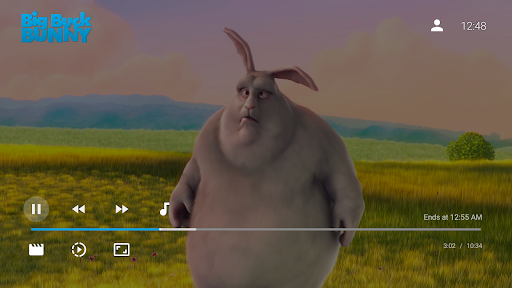 Jellyfin for Android TV Screenshot image
