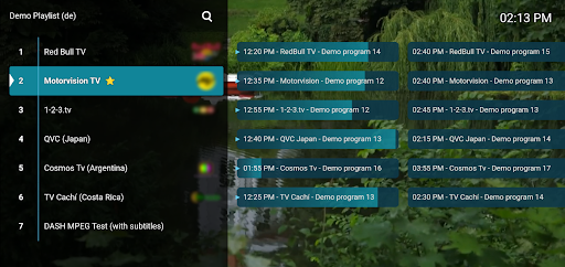 M3U IPTV Screenshot image