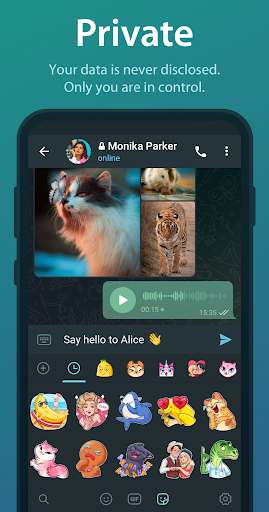 Telegram Screenshot image