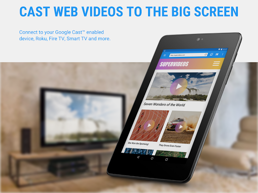 Web Video Cast Screenshot image