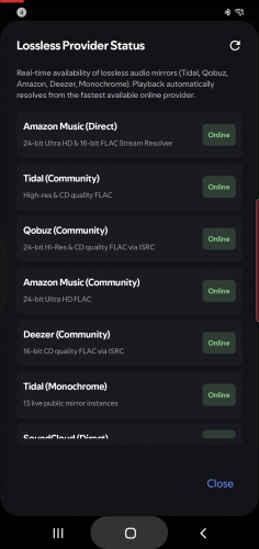 Spotishka Fly Screenshot image