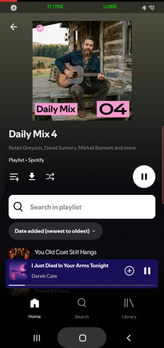 Spotishka Fly Screenshot image